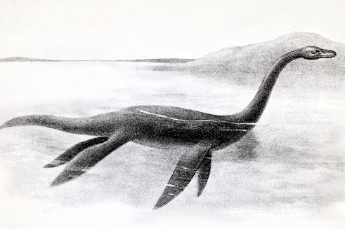 A:/themes/public/images/collages/misc/cryptids/Champ - Lake Monster - Lake Champlain, North America.jpg